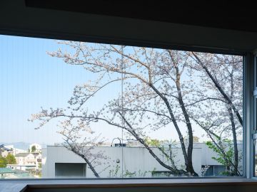 福岡市南区平和の売買物件/階調の森でたゆたう