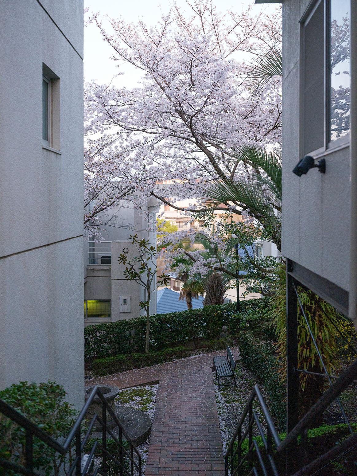 福岡市南区平和の売買物件/別のルートあり。ベンチに腰掛けて読書など。