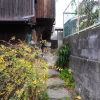 福岡市中央区桜坂の売買物件/建物まではエントランスから細いアプローチを通ります。