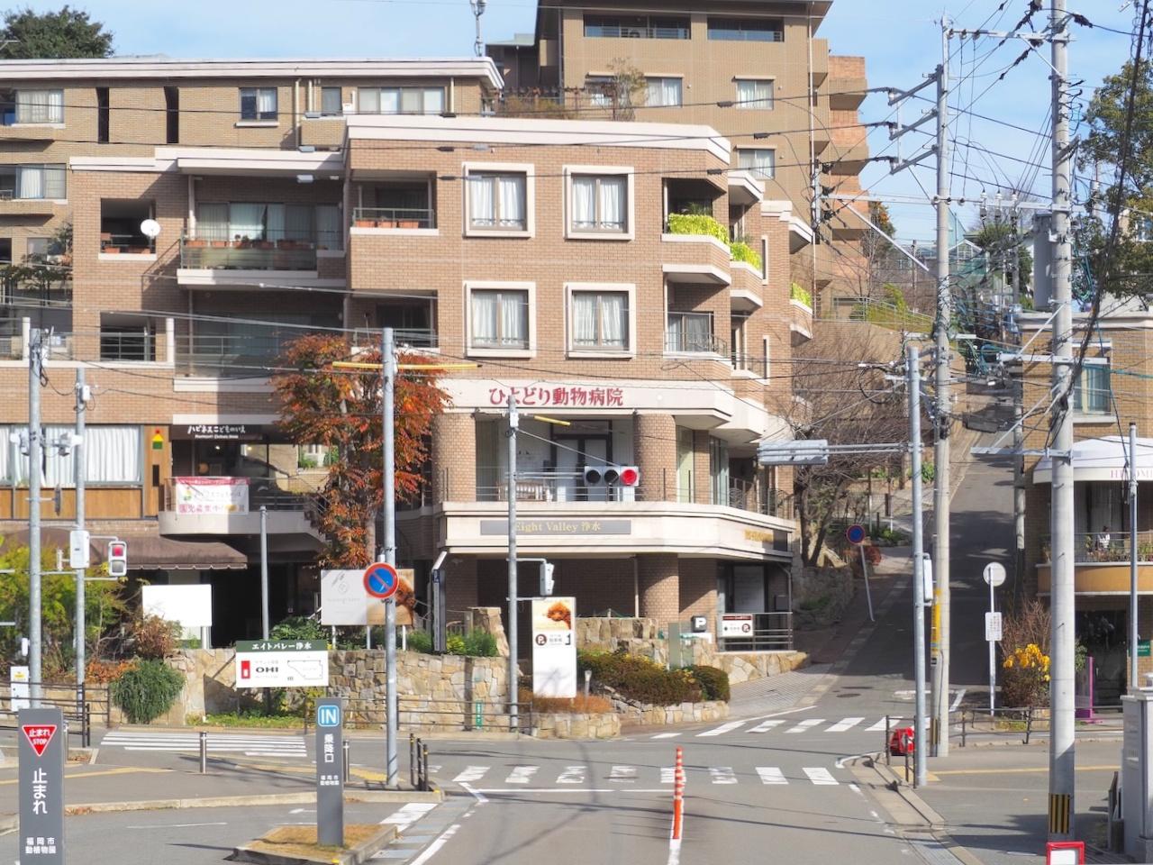福岡市中央区平尾浄水町の賃貸物件/雰囲気のあるマンションです。