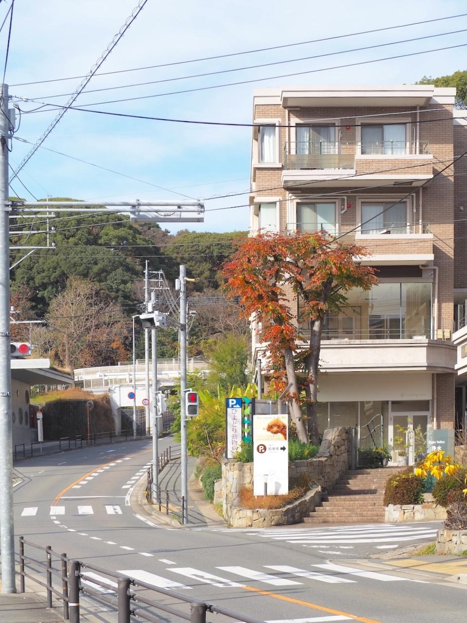 福岡市中央区平尾浄水町の賃貸物件/この環境。