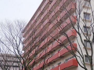 福岡市中央区赤坂の賃貸物件/けやき通りのクールサイド