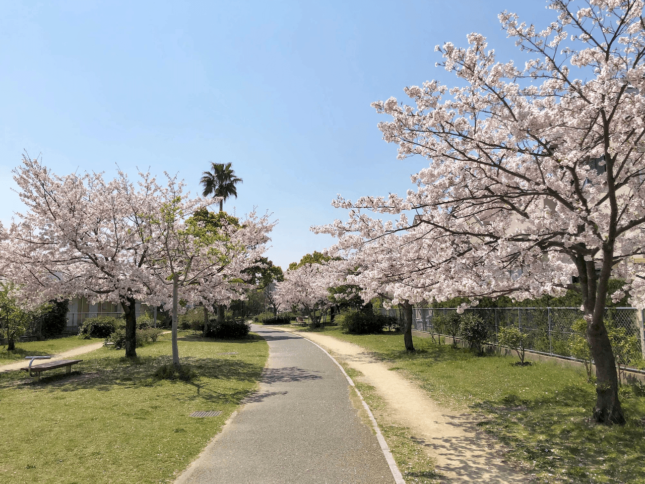 福岡市西区愛宕浜の売買物件/物件近くには緑道も。春には満開の桜が広がり、お散歩するだけでも気持ちのいい時間が流れます。