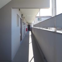 福岡市中央区平尾の賃貸物件/共用の廊下。