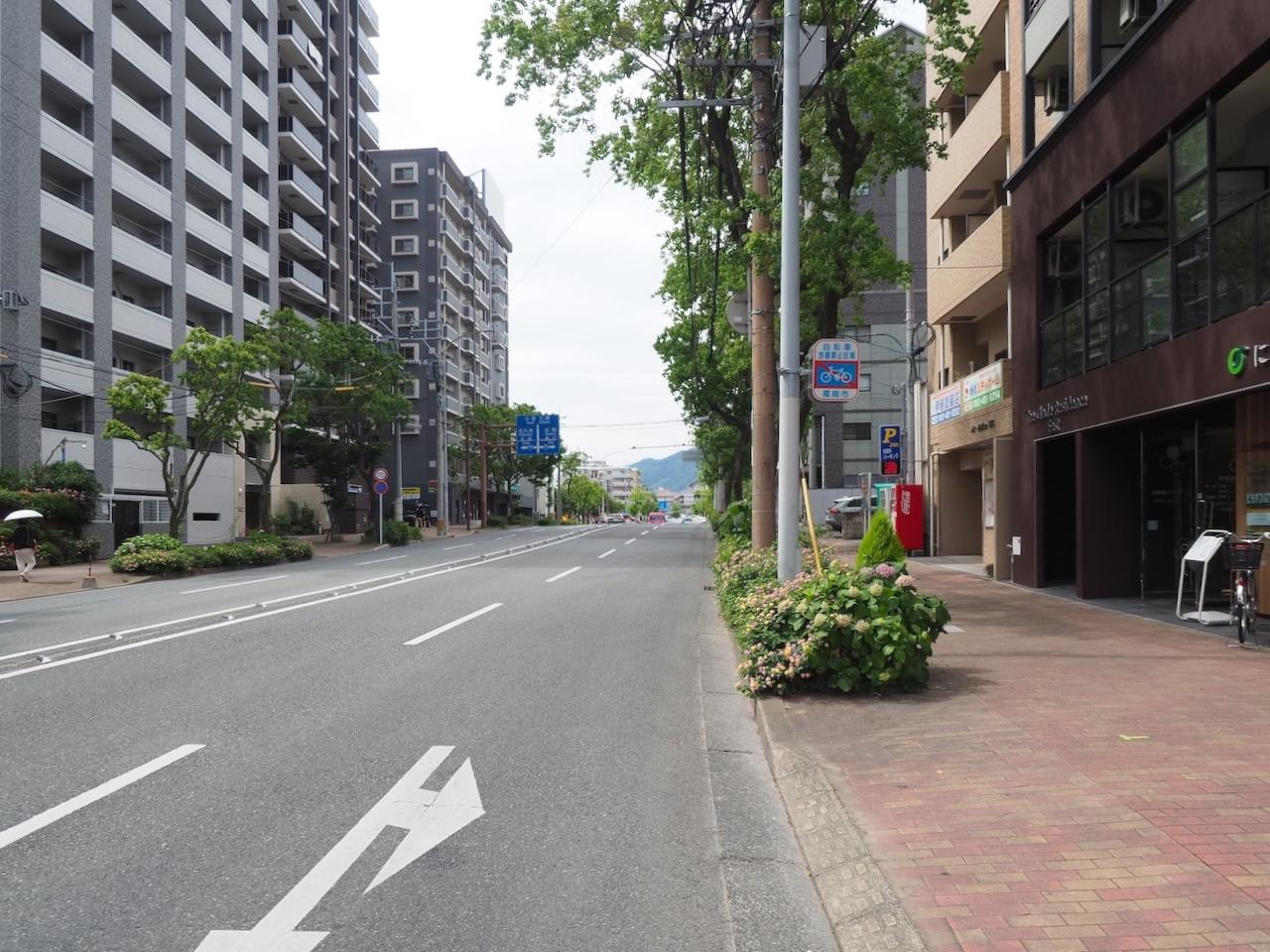 福岡市城南区別府の賃貸物件/目の前通りはこんな感じ。
