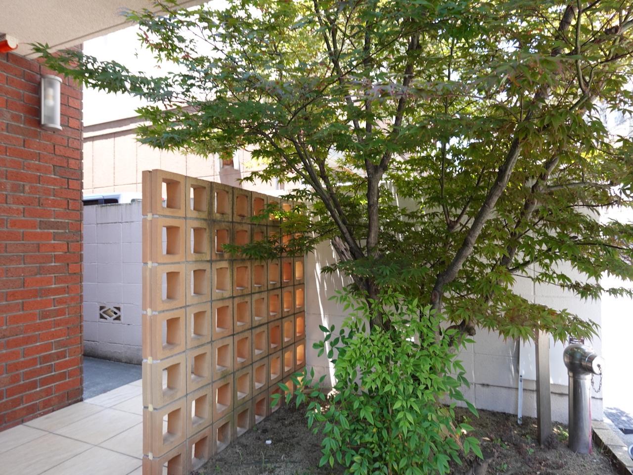 福岡市早良区室見の賃貸物件/エントランスの植栽も綺麗に整えられています。