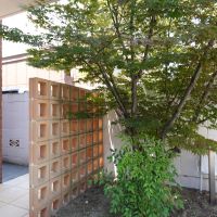 福岡市早良区室見の賃貸物件/エントランスの植栽も綺麗に整えられています。
