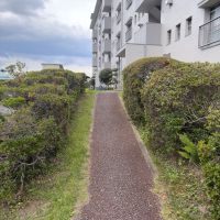 福岡市城南区東油山の賃貸物件/建物へのアプローチ。手入れされた緑に囲まれてます。