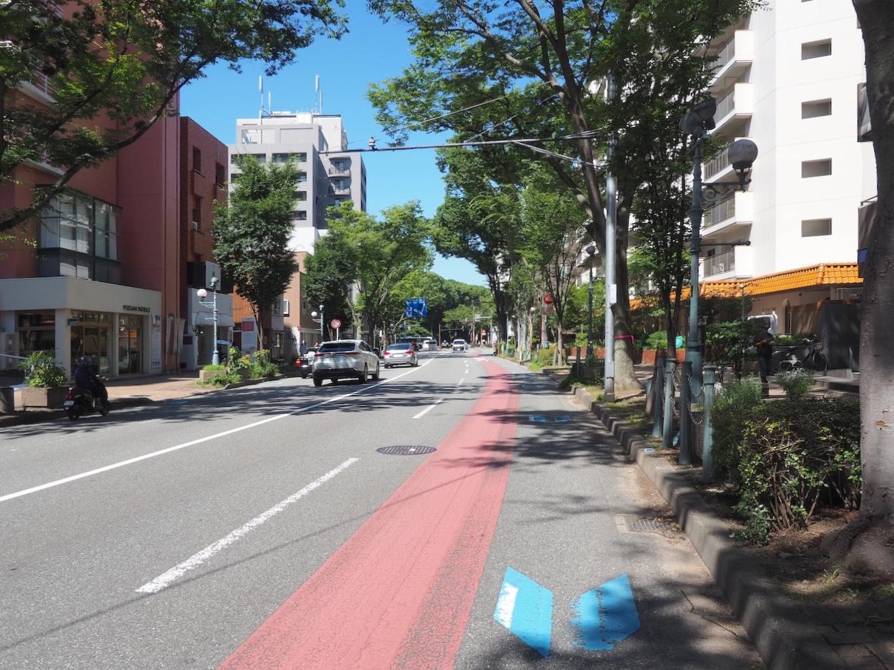 福岡市中央区赤坂の賃貸物件/けやき通り沿い。住み良い環境です。