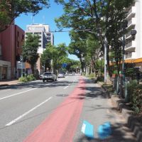 福岡市中央区赤坂の賃貸物件/けやき通り沿い。住み良い環境です。