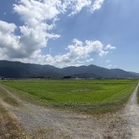 糸島市二丈武の売買物件/少し歩けば、のどかな田園風景。お散歩にぜひ。
