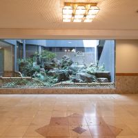 福岡市中央区平尾の売買物件/エントランスから眺める植栽もきれいに手入れされています。