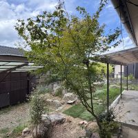 久留米市大橋町常持の売買物件/秋には綺麗に色づくことでしょう。