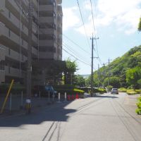 福岡県北九州市八幡西区瀬板の売買物件/建物前はこんな雰囲気。通りの向こう側にも緑が続いています。