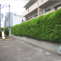 福岡市博多区東那珂の売買物件/マンションには滑り台もあります。