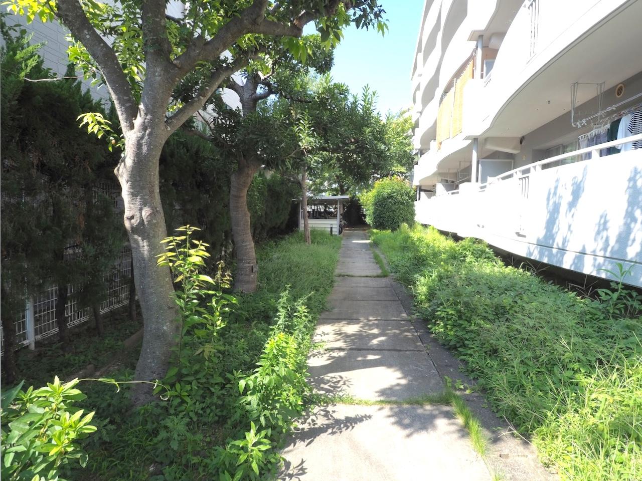 福岡市中央区梅光園団地の売買物件/建物に沿って続く、緑のある共用通路。奥には駐輪場。