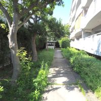 福岡市中央区梅光園団地の売買物件/建物に沿って続く、緑のある共用通路。奥には駐輪場。