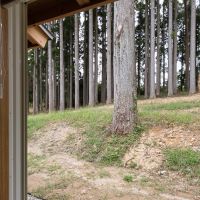佐賀県佐賀市三瀬村の賃貸物件/地面と目線が近く、室内からそのまま森につながっているような距離感です。