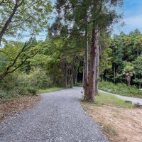 佐賀県佐賀市三瀬村の賃貸物件/この小道の先には今後、銀色のキャンピングトレーラー「エアストリーム」や、大阪万博で使われていたトイレもやってくるんだそう。ますます「よもやま」になっていきます。