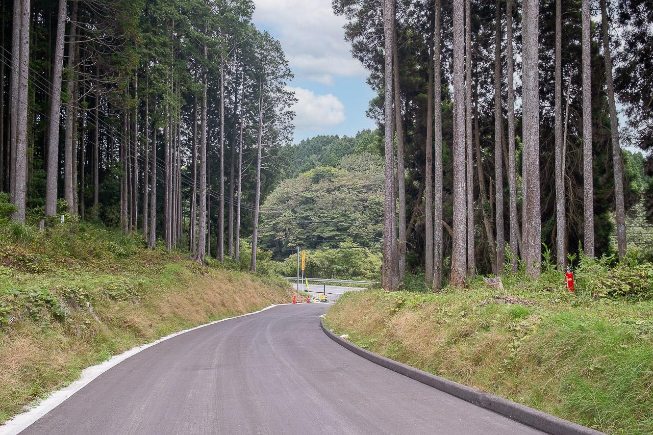 佐賀県佐賀市三瀬村の賃貸物件/すぐそばを走るのは国道263号、通称「三瀬そば街道」。お蕎麦屋さんや直売所が並ぶメインストリートから一本入れば、もうこの森。山奥すぎない、この距離感もいいところ。