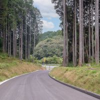佐賀県佐賀市三瀬村の賃貸物件/すぐそばを走るのは国道263号、通称「三瀬そば街道」。お蕎麦屋さんや直売所が並ぶメインストリートから一本入れば、もうこの森。山奥すぎない、この距離感もいいところ。