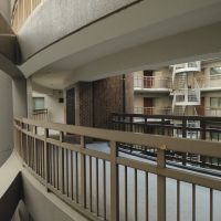 福岡市中央区薬院の賃貸物件/部屋の窓越しにはこの美観。