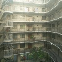 福岡市中央区薬院の賃貸物件/エレベーターの中からも、なかなかエモい。