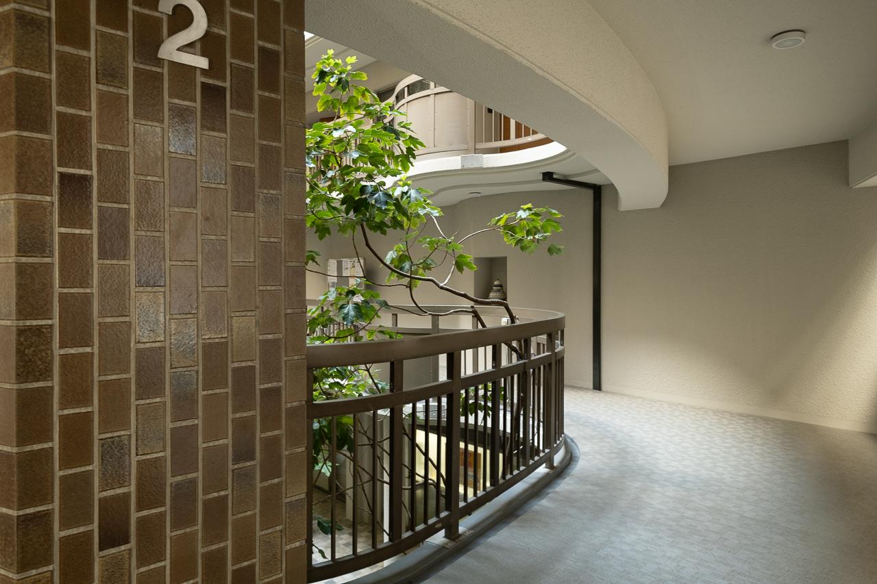 福岡市中央区薬院の賃貸物件/共用廊下まで、ゆったり。