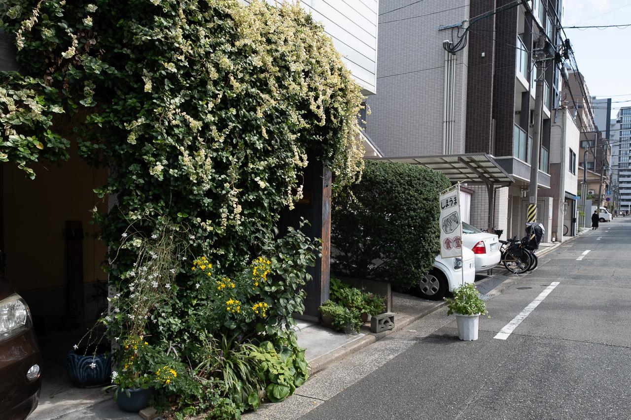 福岡市博多区古門戸町 の賃貸物件/緑もりもり。ここは食堂です。
