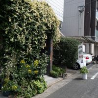 福岡市博多区古門戸町 の賃貸物件/緑もりもり。ここは食堂です。