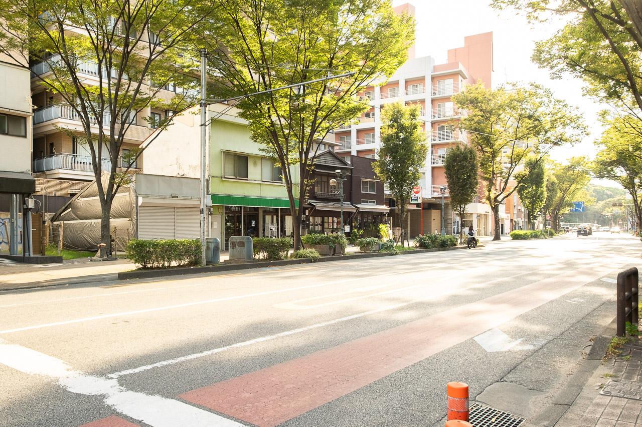 福岡市中央区赤坂の賃貸物件/けやき通りにあります。