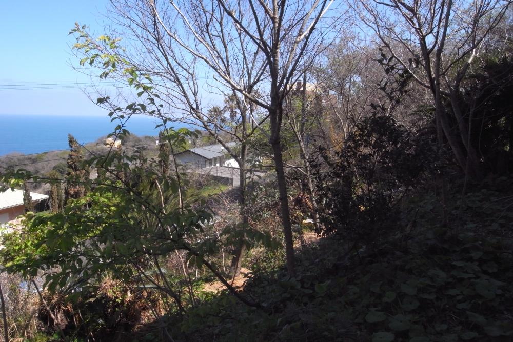 糸島市志摩野北の売買物件/敷地は斜面ですが、植栽なども十分に楽しめる広さ。