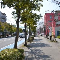 福岡市東区香椎浜の売買物件/広めの歩道に街路樹、ほっこりする住宅街