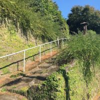 姶良市蒲生町の売買物件/完璧すぎるアプローチ。