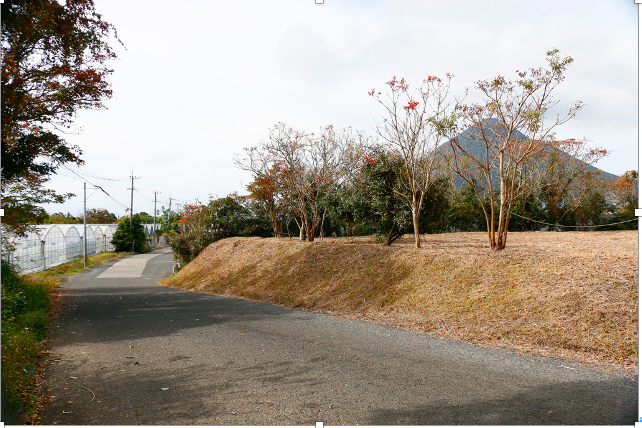 指宿市山川岡児ケ水の売買物件/さて、何を育てようかな？