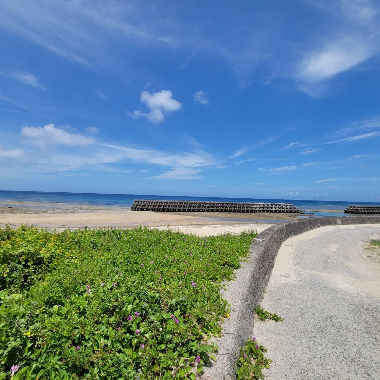 鹿児島県奄美市笠利町佐仁の売買物件/朝夕のお散歩コース