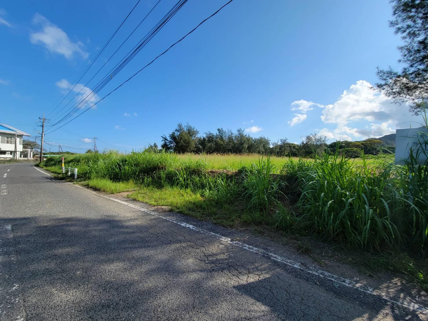 奄美市龍郷町芦徳の売買物件/前面道路