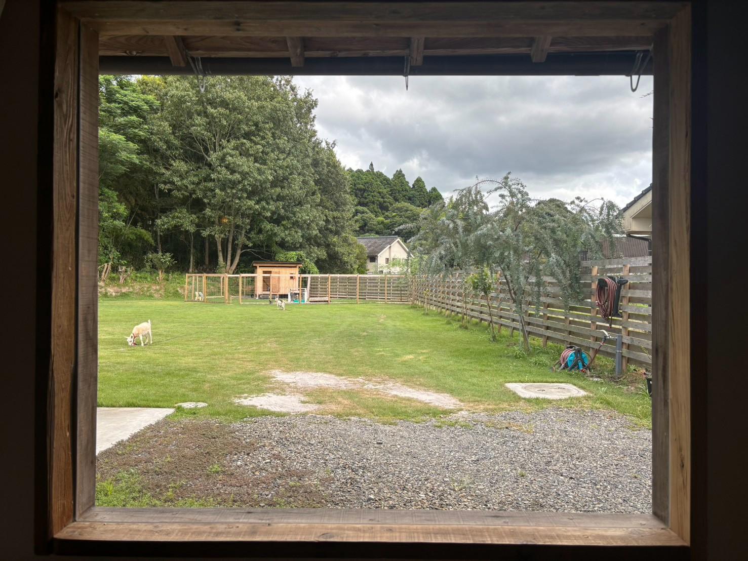 鹿児島県南九州市川辺町の売買物件/山羊を眺めながらくつろぐ