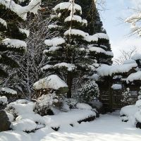 鹿児島県隼人町の売買物件/季節によって表情を変える【冬】