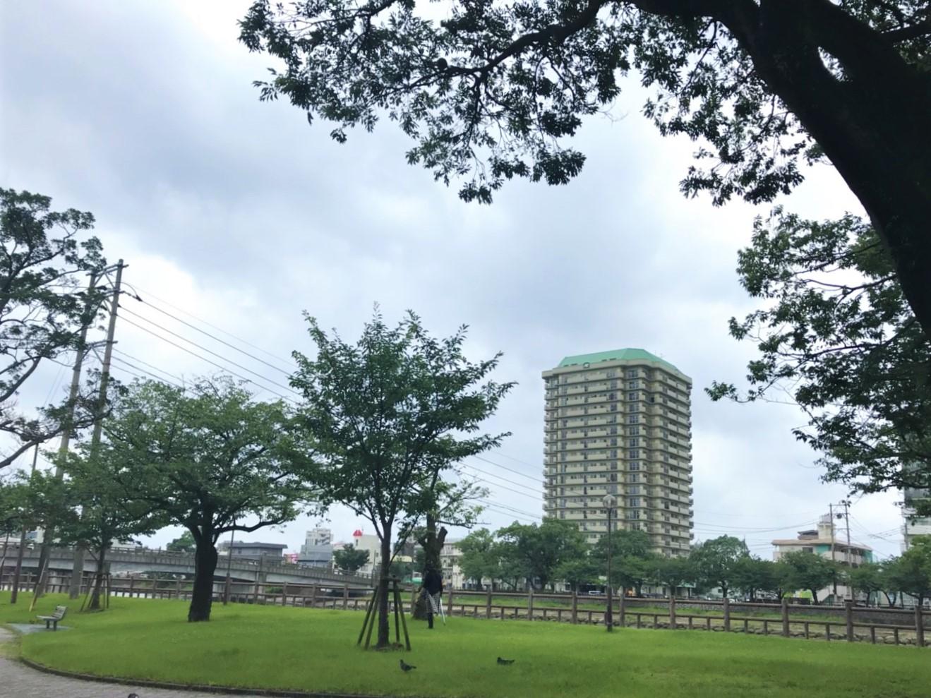 鹿児島市下荒田の賃貸物件/鹿児島では珍しい20階建ての高層マンション