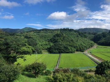 いちき串木野市冠嶽の売買物件/山笑う