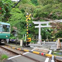 鎌倉市坂ノ下の賃貸物件/近隣の江ノ電渡りの御霊神社