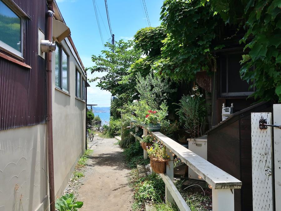 鎌倉市坂ノ下の売買物件/この花たちの先に海が見えるという風景をつくってくれたことに鎌倉の価値は上がったと言えるのではないだろうか