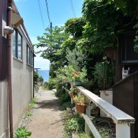 鎌倉市坂ノ下の売買物件/この花たちの先に海が見えるという風景をつくってくれたことに鎌倉の価値は上がったと言えるのではないだろうか