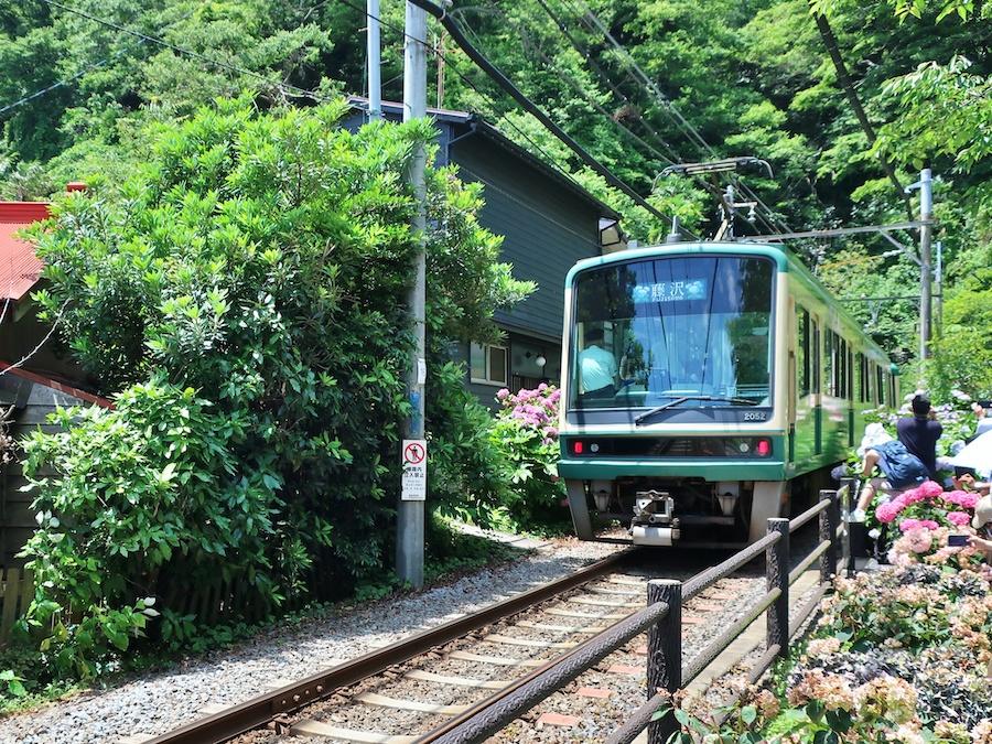 鎌倉市坂ノ下の売買物件/あじさいの季節の坂ノ下は多くの人が訪れます