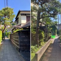 鎌倉市山ノ内の賃貸物件/周辺｜北鎌倉駅への近道の細い路地。垣根や生け垣が渋い。