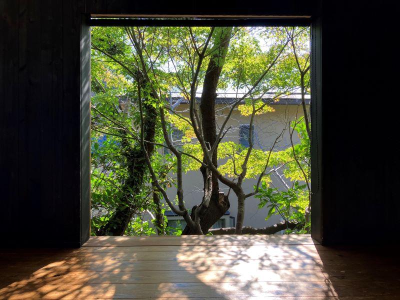 鎌倉市山ノ内の賃貸物件/2階リビング｜桜の木は隣地の借景です。モミジは敷地内。春も秋も楽しみ。