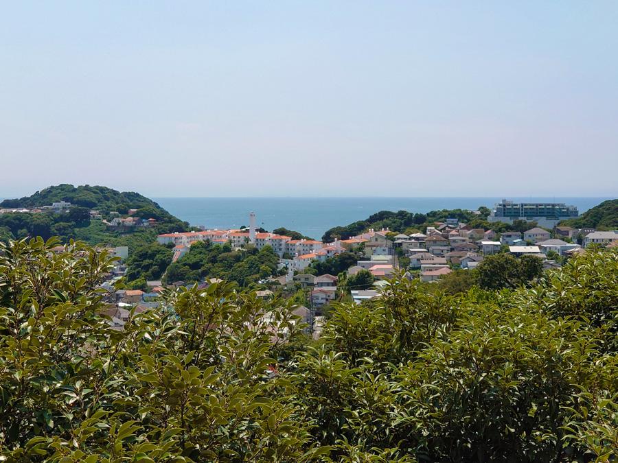 逗子市小坪七丁目の売買物件/小坪のコスモミロス、その向こうに逗子の海、この組み合わせが眺望の価値を上げているのです