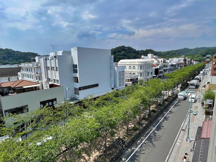 鎌倉市小町二丁目の賃貸物件/夏の時期は桜の緑が濃い
