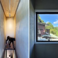鎌倉市扇ガ谷四丁目の賃貸物件/左：2階から降りる時に突如現れるクロヒョウ｜右：2階のピクチャーウィンドウ